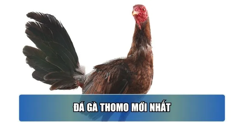 da-ga-thomo-moi-nhat-anh-dai-dien