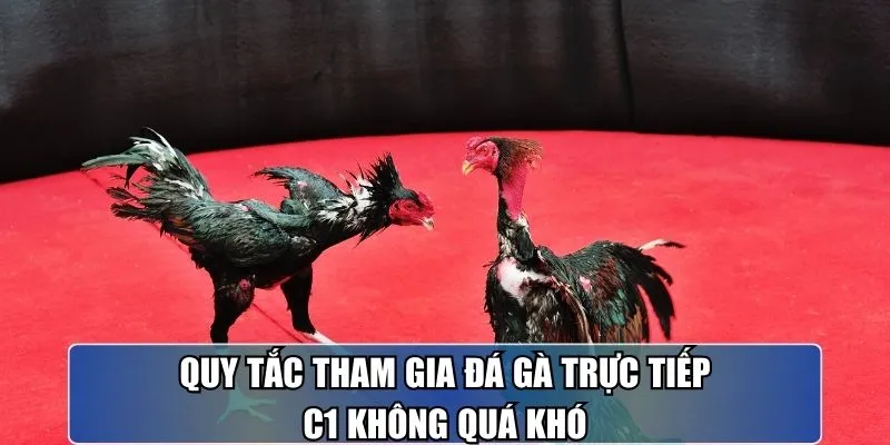 Học cách chi tiền hợp lý khi tham gia trường đấu