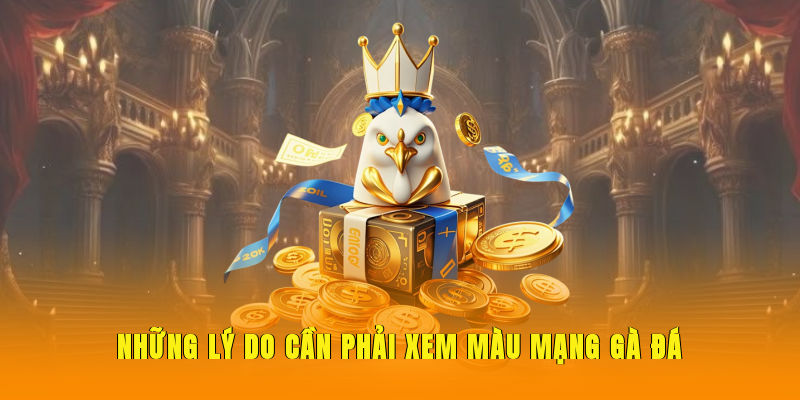 Những lý do cần phải xem màu mạng gà đá