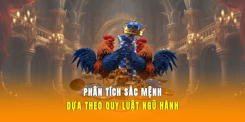Phân tích sắc mệnh dựa theo quy luật ngũ hành