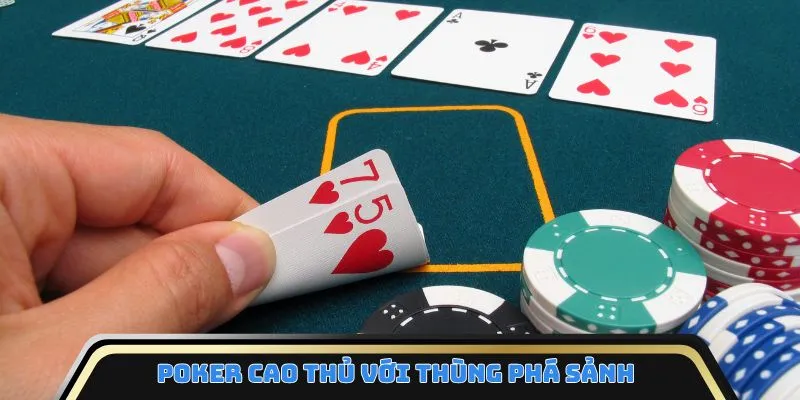 Poker cao thủ với thùng phá sảnh