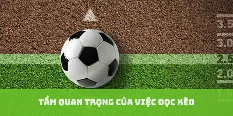 Tầm quan trọng trong cách đọc kèo châu Á