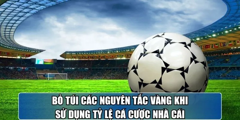 Bỏ túi các nguyên tắc vàng khi sử dụng tỷ lệ cá cược nhà cái